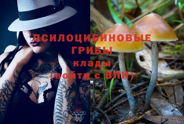 винт Балахна